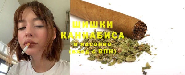 Альфа ПВП Вяземский