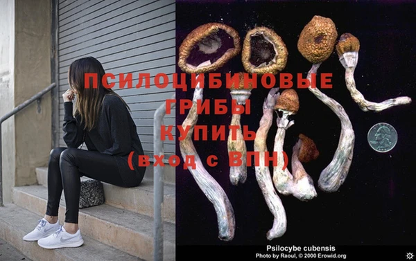 Альфа ПВП Вяземский
