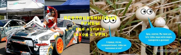 Альфа ПВП Вяземский