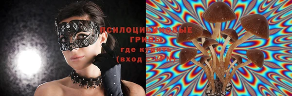 мдпв Вязники