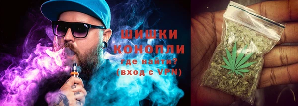 мдпв Вязники